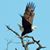 Lynn Csj's profile image
