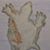 Casadi Marino's profile image