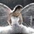 Deirdre Cline-Johnson's profile image