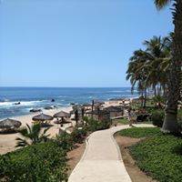 Kathy Schmitt's profile image