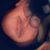 Cristian Lara's profile image