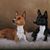 Maggie Galaszewski's profile image