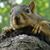 Sheila Doles's profile image