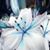 Kimmie Davis's profile image