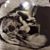 Margarita Bonet's profile image