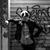 Giuseppe D'Alberti's profile image