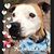 Sandra Fults's profile image