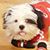 Paddy Hodo's profile image