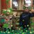 Jamie Smithart Phillips's profile image