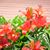 Candy Sabey's profile image