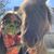 Claudia Duijsens-Kern's profile image