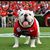 Jason Seabolt's profile image