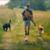 Jeffrey JT Taylor's profile image