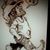 Rex Watson's profile image