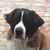 Michael Battenfield's profile image