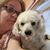 Carol Rizzo's profile image