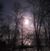 Karen Nelson's profile image