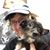 Lisa Trevathan's profile image