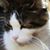 Jennifer Niemi's profile image