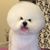 Karen L Snyder's profile image