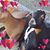 Jana DeLong's profile image