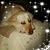 Valerie M Billingsby-Rose's profile image