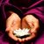 Tammy Ellis's profile image