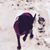 Harriet Tuckman's profile image