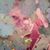 Sue Nave Carden's profile image
