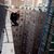 Nayef Zarrour's profile image