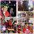 Jackie Arsenault's profile image