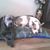 Corine Kelly's profile image