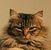 Kathy Lundgren's profile image