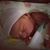 Shanda Christina Catalano Fogle's profile image