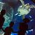 Jacy Cyr Post's profile image