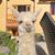 Terry Riches's profile image