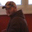 Tim Moyer's profile image