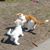 Traci Tracy's profile image