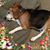 Patty Endris's profile image