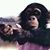 David Dufour's profile image