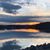 Melanie Downey Miller's profile image