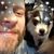 Buddy Byrns's profile image