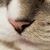 Mike Peak's profile image
