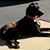 Elizabeth Oglesby's profile image