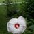 Darin Reed's profile image