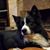 Kristi Bowman Barnes's profile image