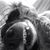 Amy Crary Hendricks's profile image