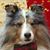 Judy Wilson's profile image