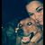 Alison Perry's profile image
