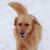 Marti Kohut's profile image